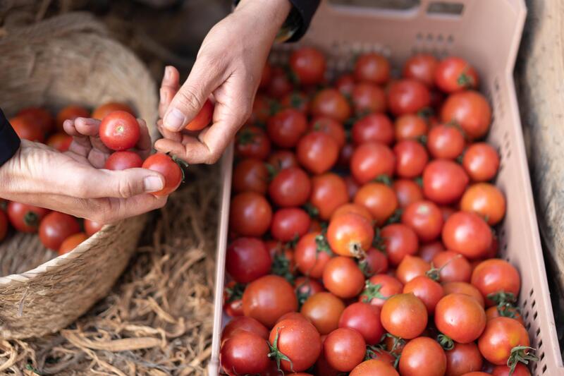 Bruselas pide a Francia medidas para evitar nuevos ataques a camiones con productos españoles como en octubre