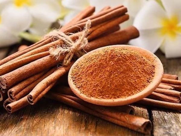 Estos son los principales beneficios de poner canela o naranja en los radiadores de casa 49 Merca2.es Las características de la canela