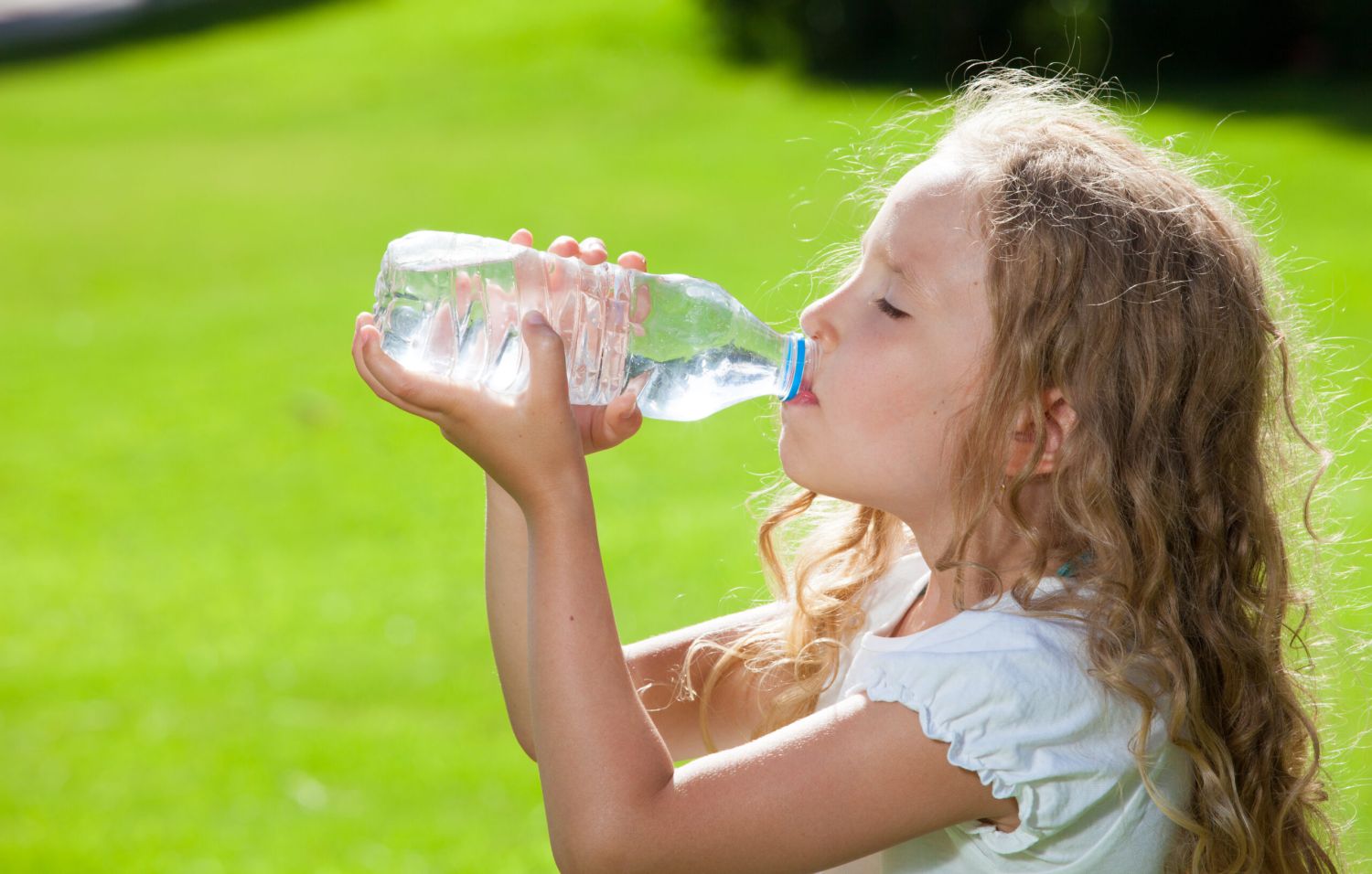 Botellas de plástico: el peligro que no ves pero que te puede costar caro