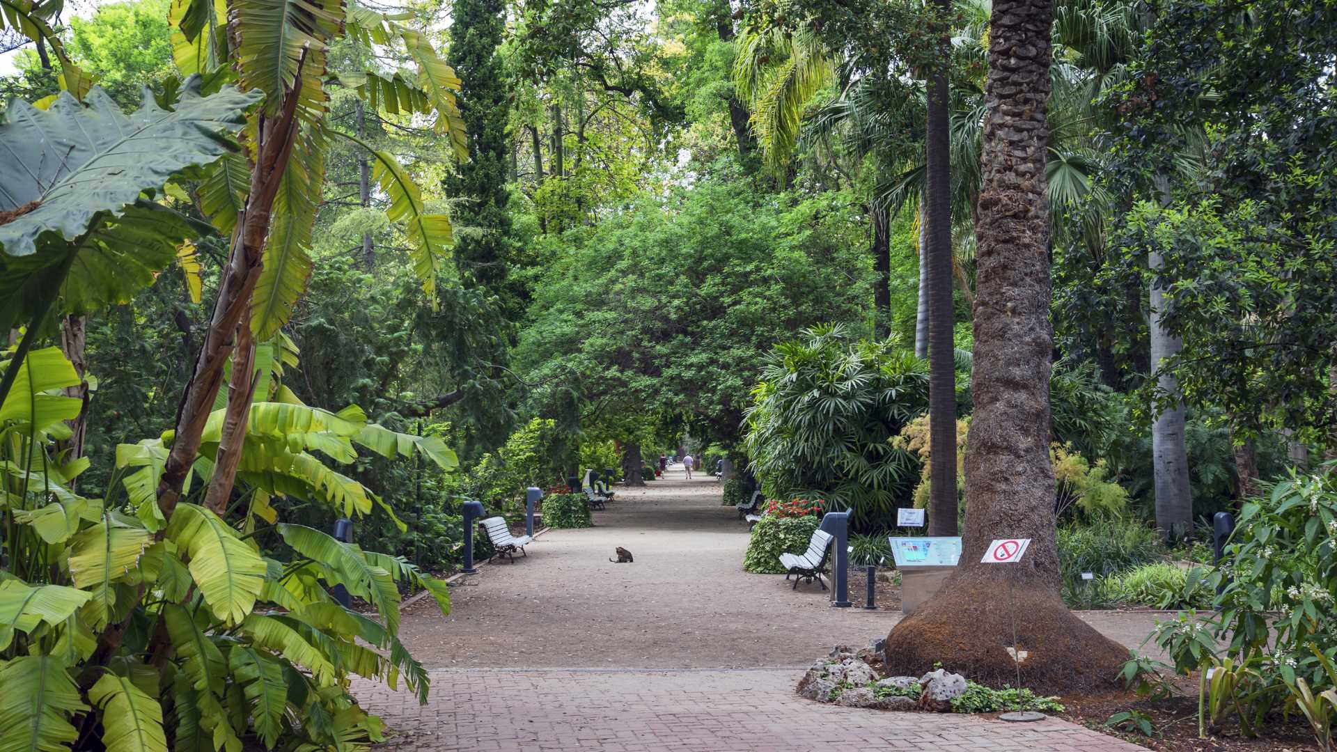 JARDÍN HISTÓRICO, MEMORIA VIVA