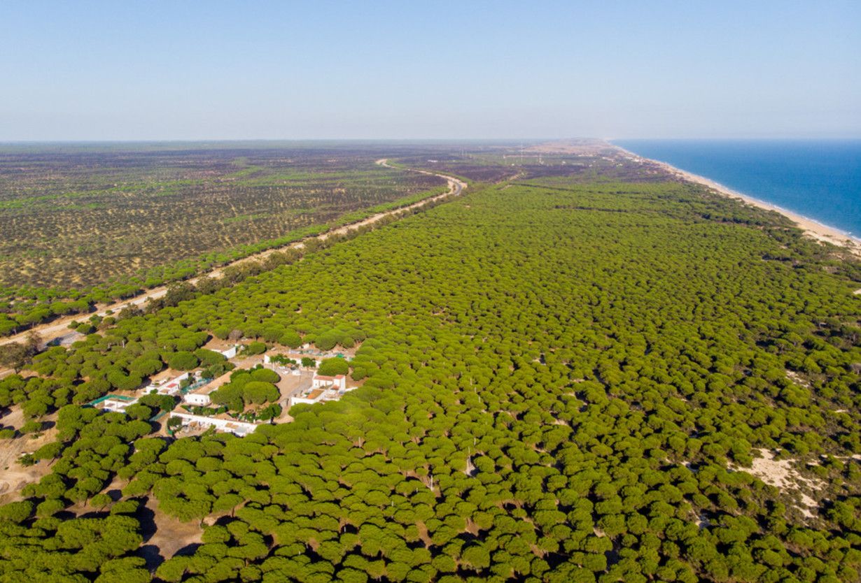 UN FUTURO PROMETEDOR PARA DOÑANA