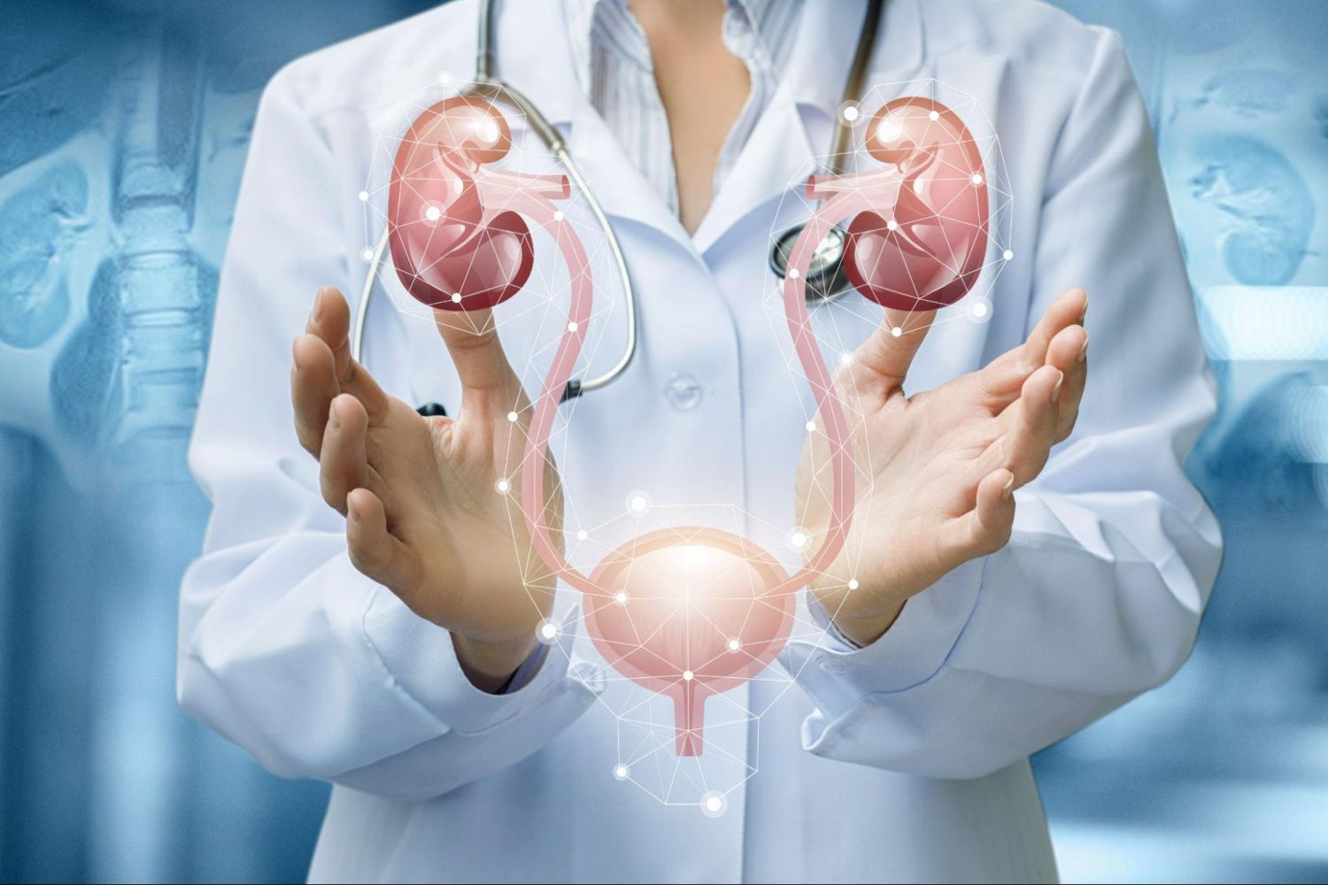Limpia tus riñones con esta dieta depurativa ¡Increíble pero cierto! 4 Merca2.es UN CAMINO HACIA LA SALUD RENAL
