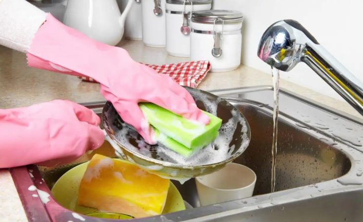 Te ensenamos a desinfectar el estropajo de la cocina un accesorio siempre lleno de microbios 11 Merca2.es
