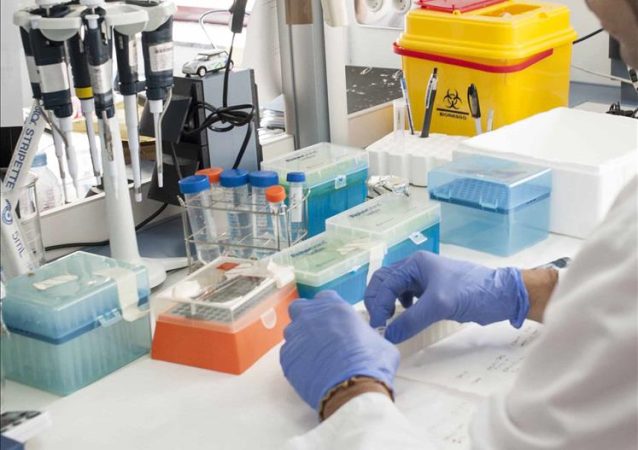 MD Anderson Madrid incorpora un servicio pionero de cuidados geriátricos oncológicos 3 Merca2.es centro MD Anderson de Madrid Merca2.es