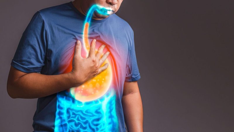 digestion Merca2.es