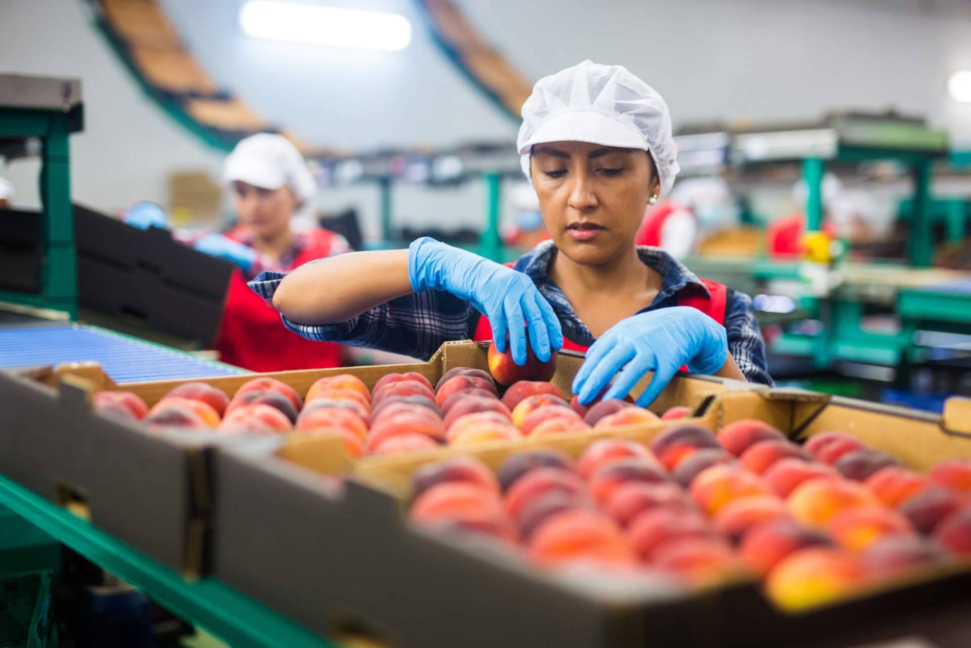 Los concentrados de fruta que brinda Baor Products son productos de calidad internacional