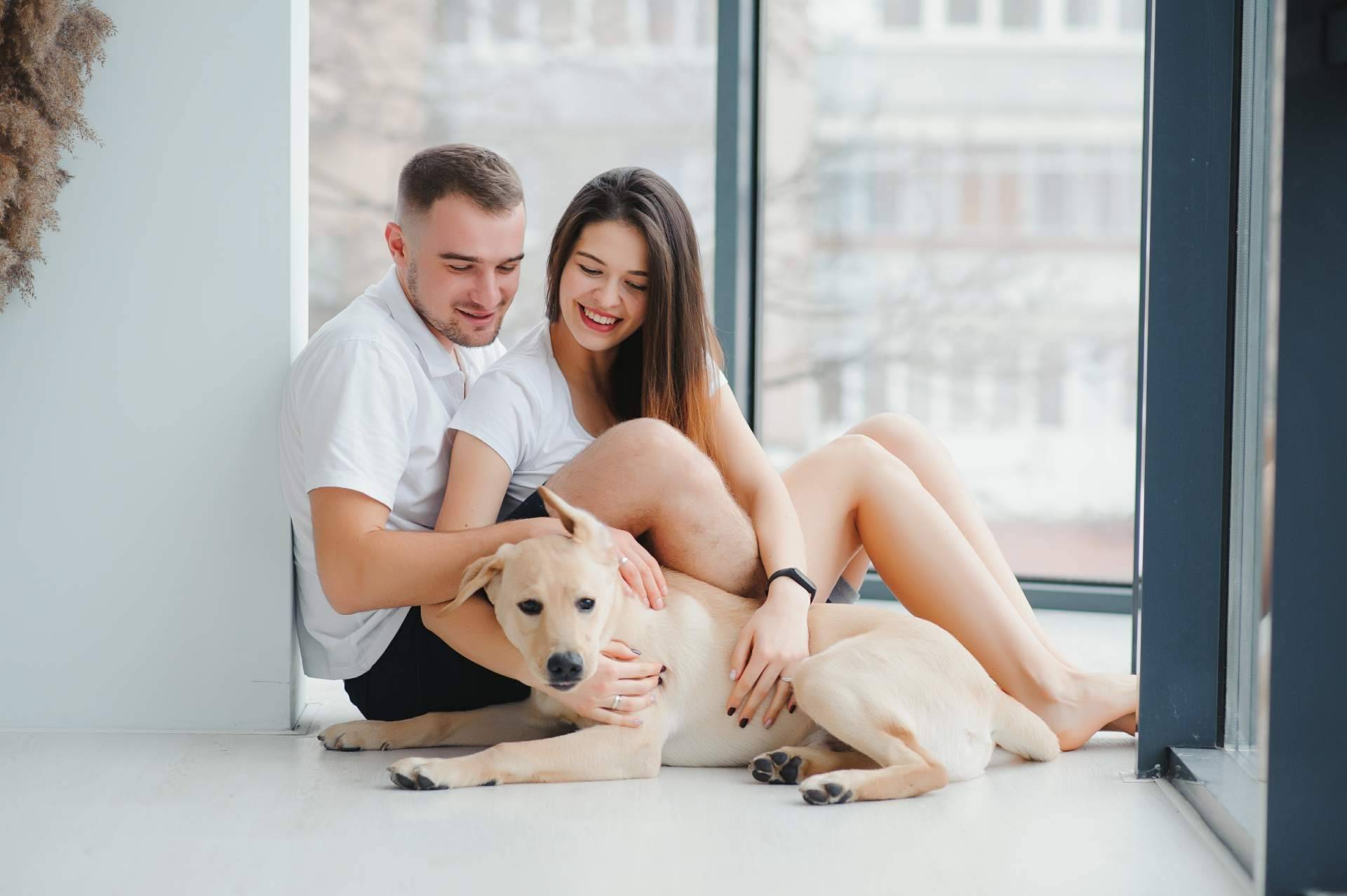 Del amor por los animales al éxito empresarial; la franquiciada de El Perro Feliz en Ibiza cuenta su experiencia