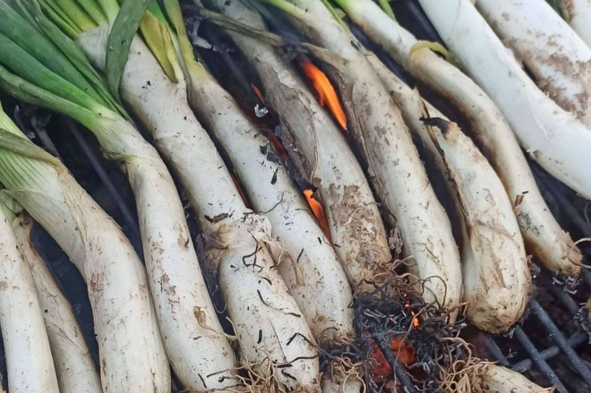 Empieza la temporada de calçots en Masia Can Tomàs con su menú renovado y equipo fortalecido
