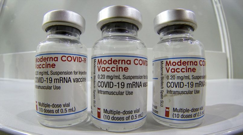 Moderna virus