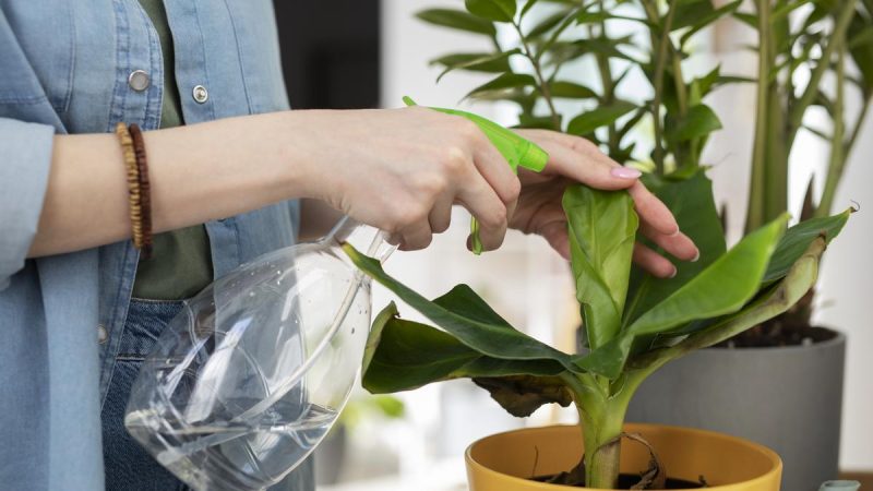 planta Merca2.es