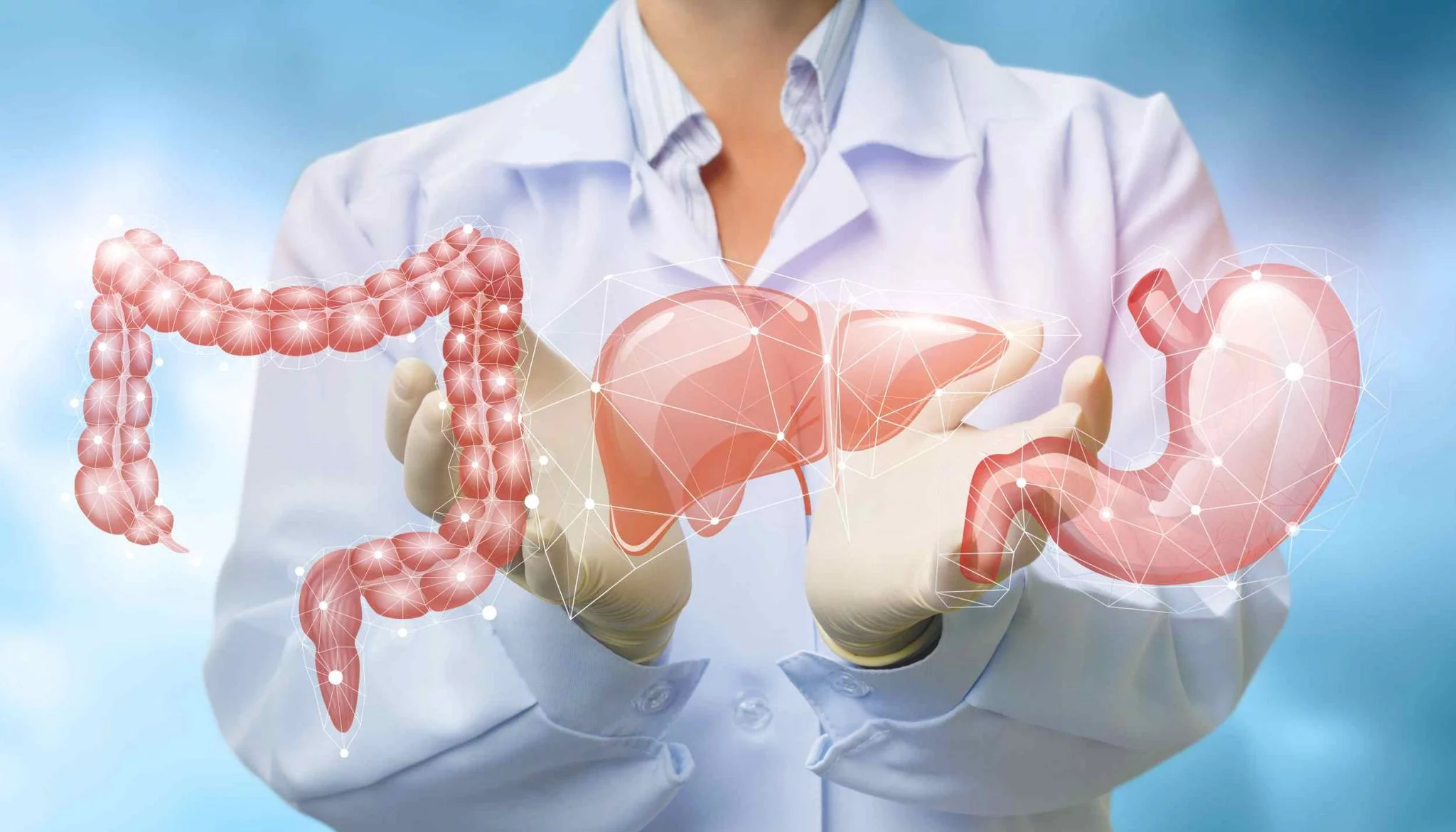 Cuidado con la fibra: Lo que nadie te dice sobre su exceso y tus intestinos 3 Merca2.es FIBRA: LAS DIFICULTADES DE DIGESTIÓN