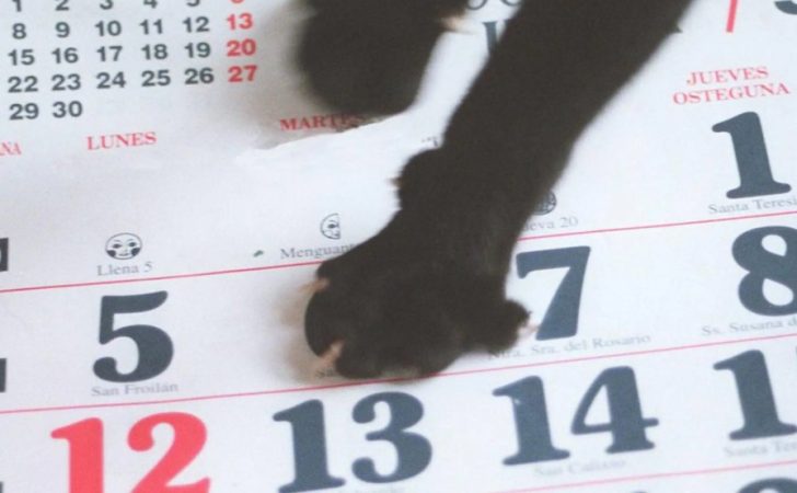 ¿Cuál es el origen de pensar que el Martes y trece es sinónimo de mala suerte? 131 Merca2.es Una creencia que tiene vieja data