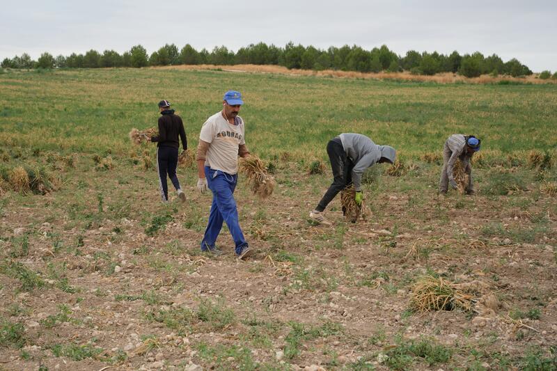ERC propone parar los acuerdos de libre comercio de la UE y destinar las ayudas PAC a agricultores pequeños