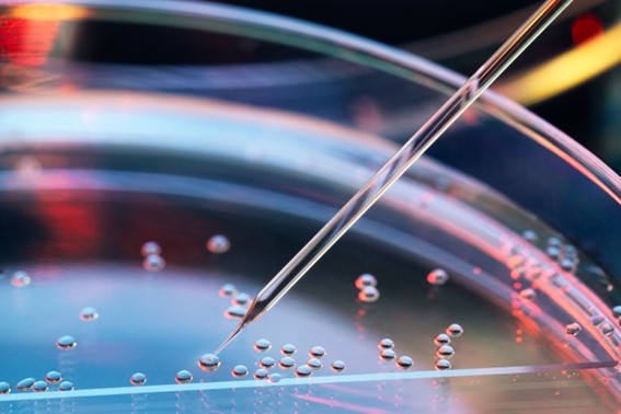 Las acciones de biotecnología ganan ‘momentum’ por los tipos la innovación y la M&A