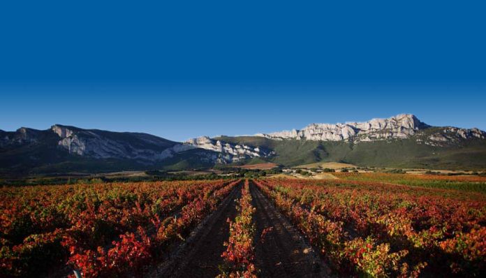 Conoce la cuna del vino, conoce la Rioja Alavesa