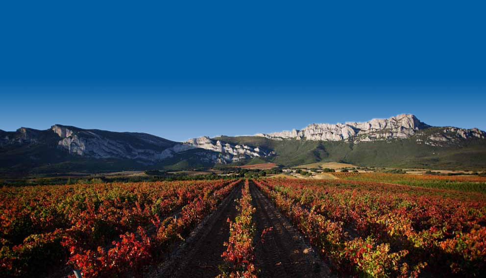 Conoce la cuna del vino, conoce La Rioja Alavesa