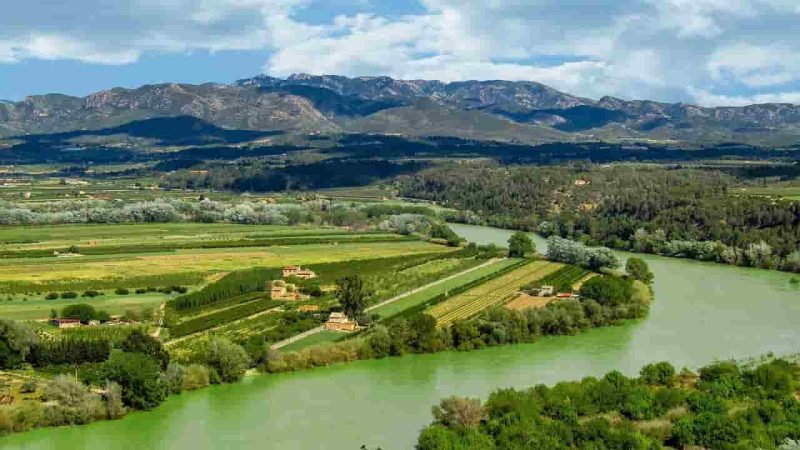Ebro ESPANA 0 Merca2.es
