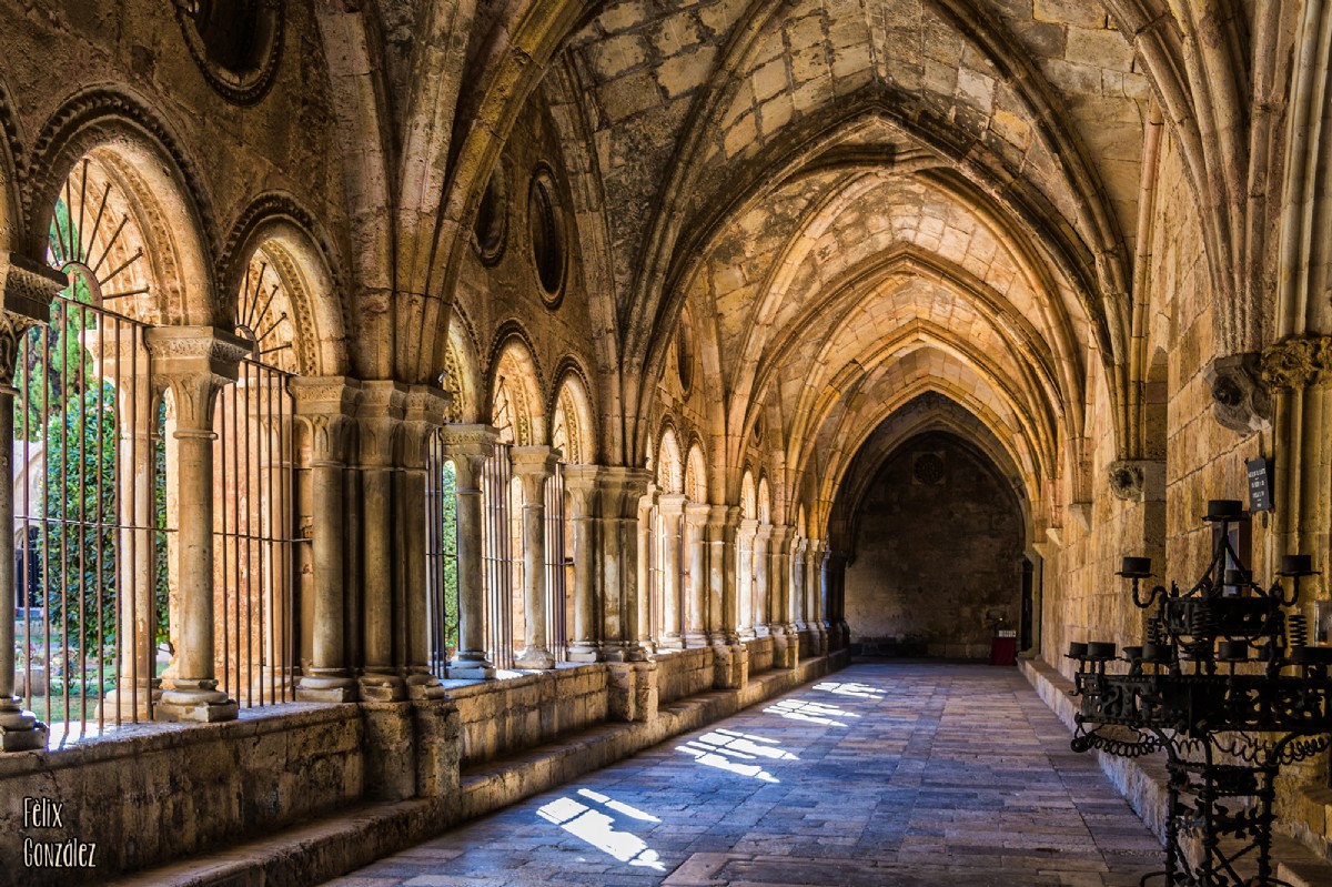 Catedral de Tarragona: Un legado oculto entre roma y la edad media