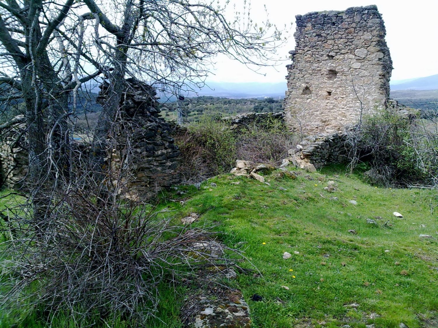 LA HUELLA DE MADARCOS EN EL MUNDO