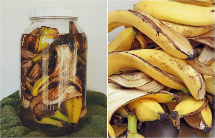 Piel de plátanos como fertilizante orgánico