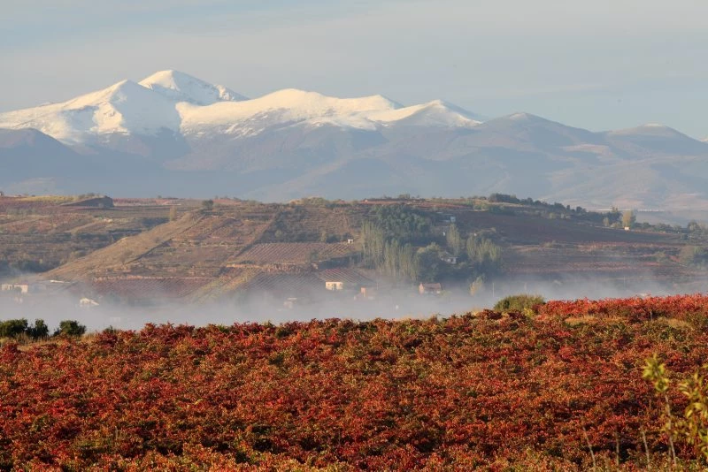 UN VIAJE CULTURAL: MÁS ALLÁ DEL VINO