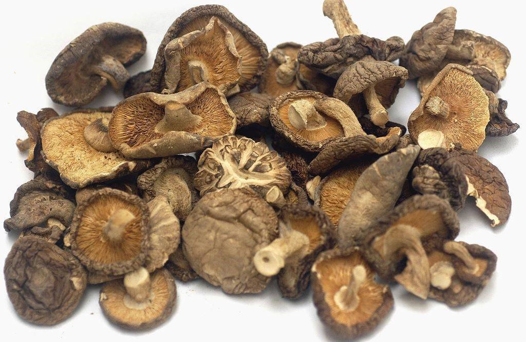 CÓMO INCORPORAR EL SHIITAKE A TU DIETA