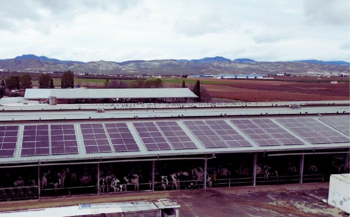 Ubora Solar, compañía malagueña especialista en instalaciones para empresas