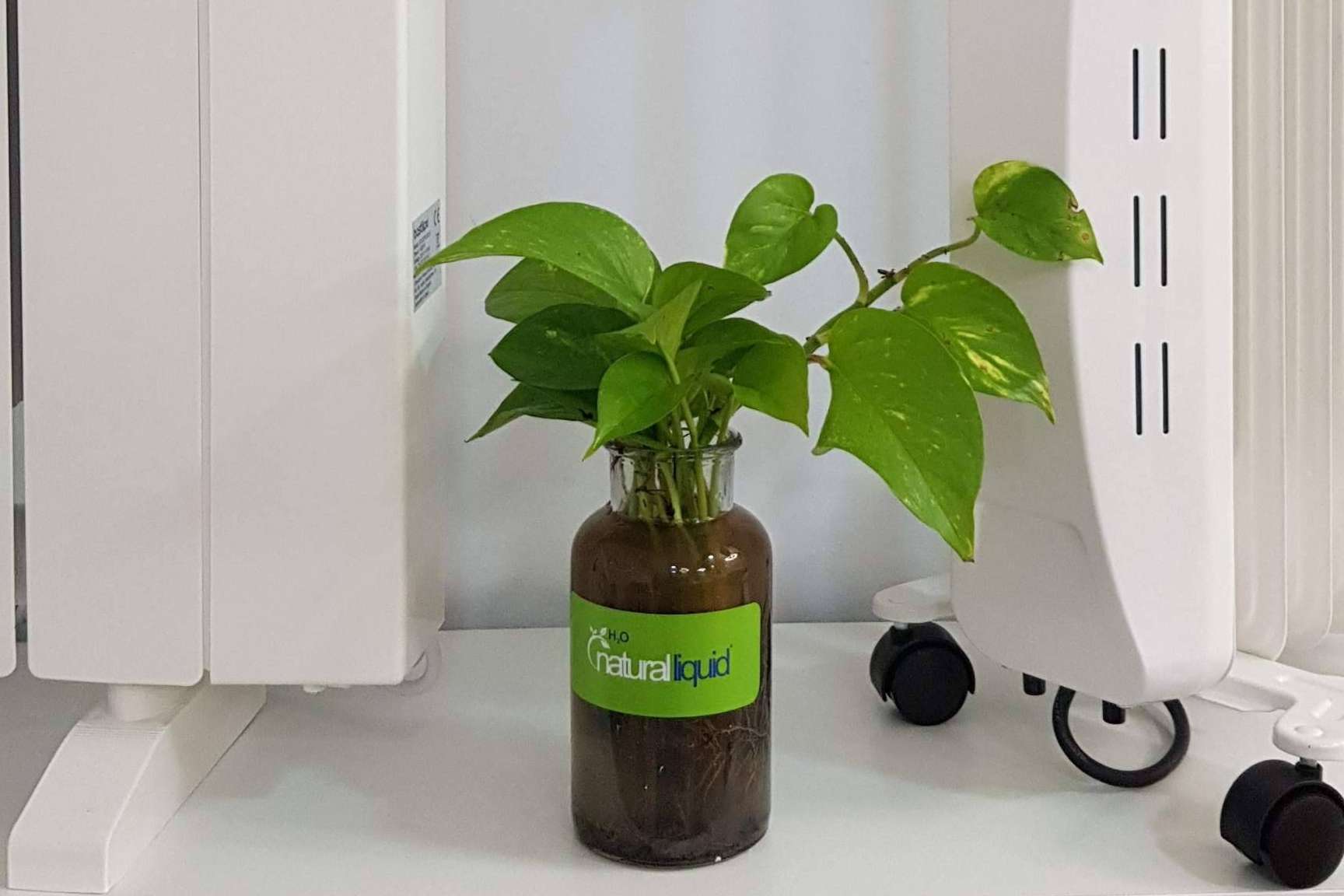 Bastilipo protege los recursos hídricos con la gama Ecofluid