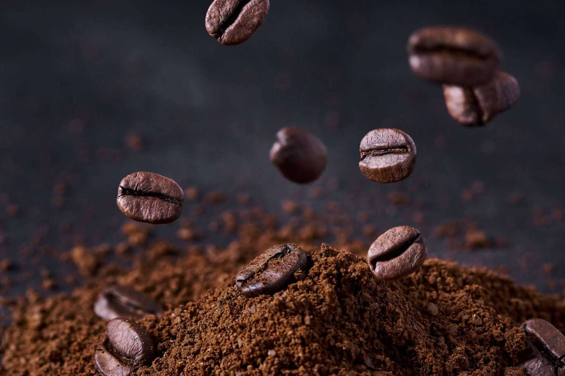 Los paladares más selectos se enamoran de CATUAI, el Café de Boquete