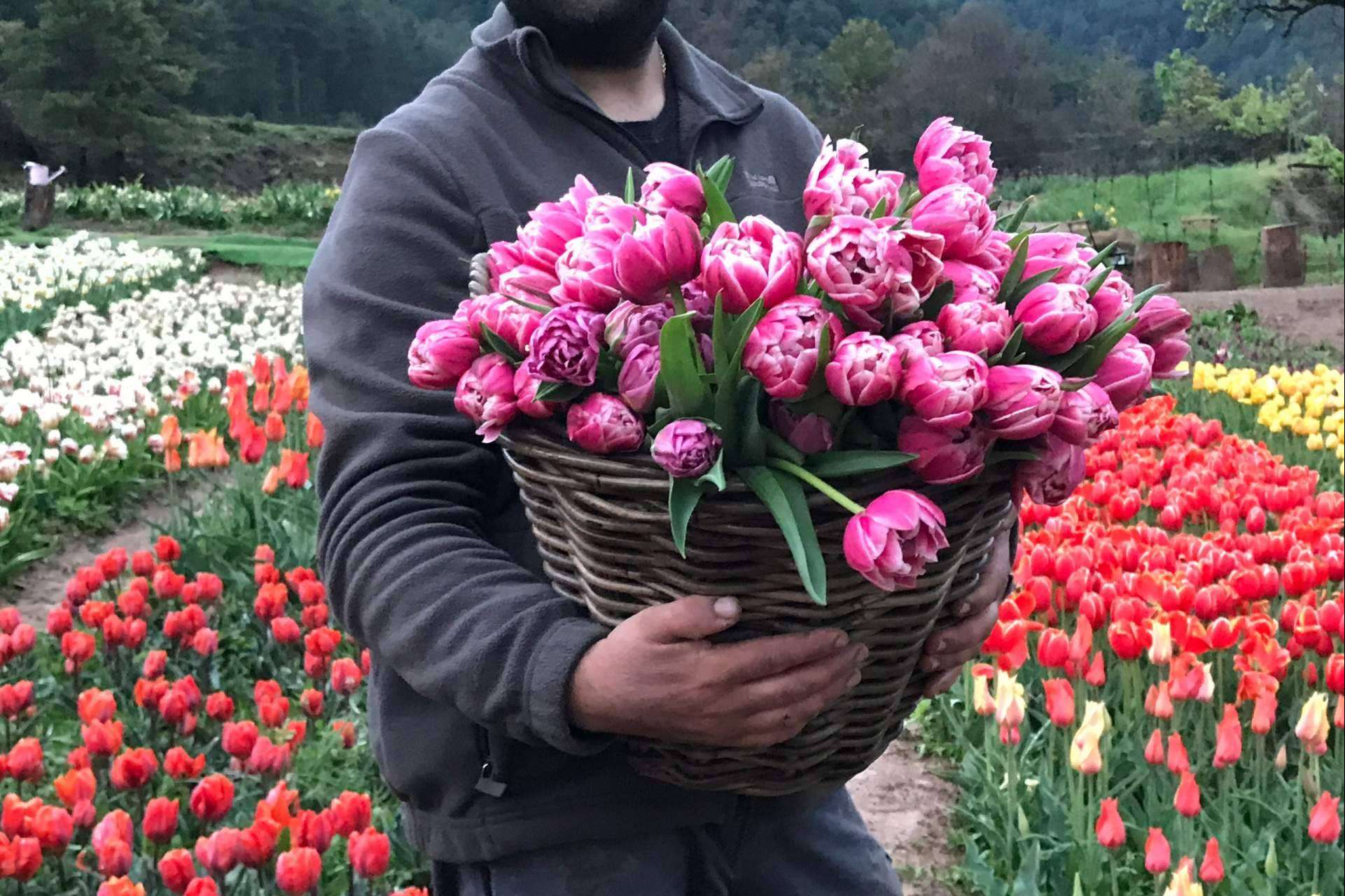 Las ventajas de una boda en Barcelona original rodeada de mil flores