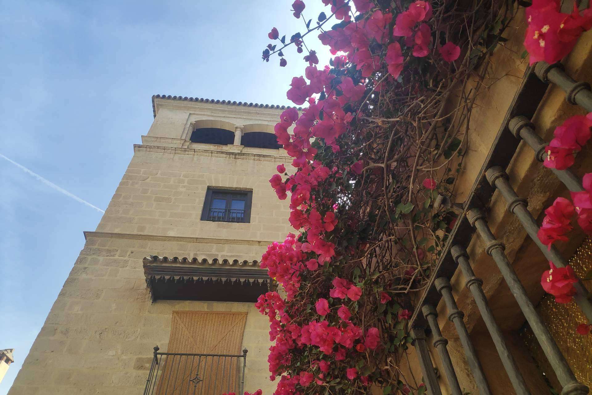 Los 4 free tours de Málaga imprescindibles que ofrece Malagaturismo.es