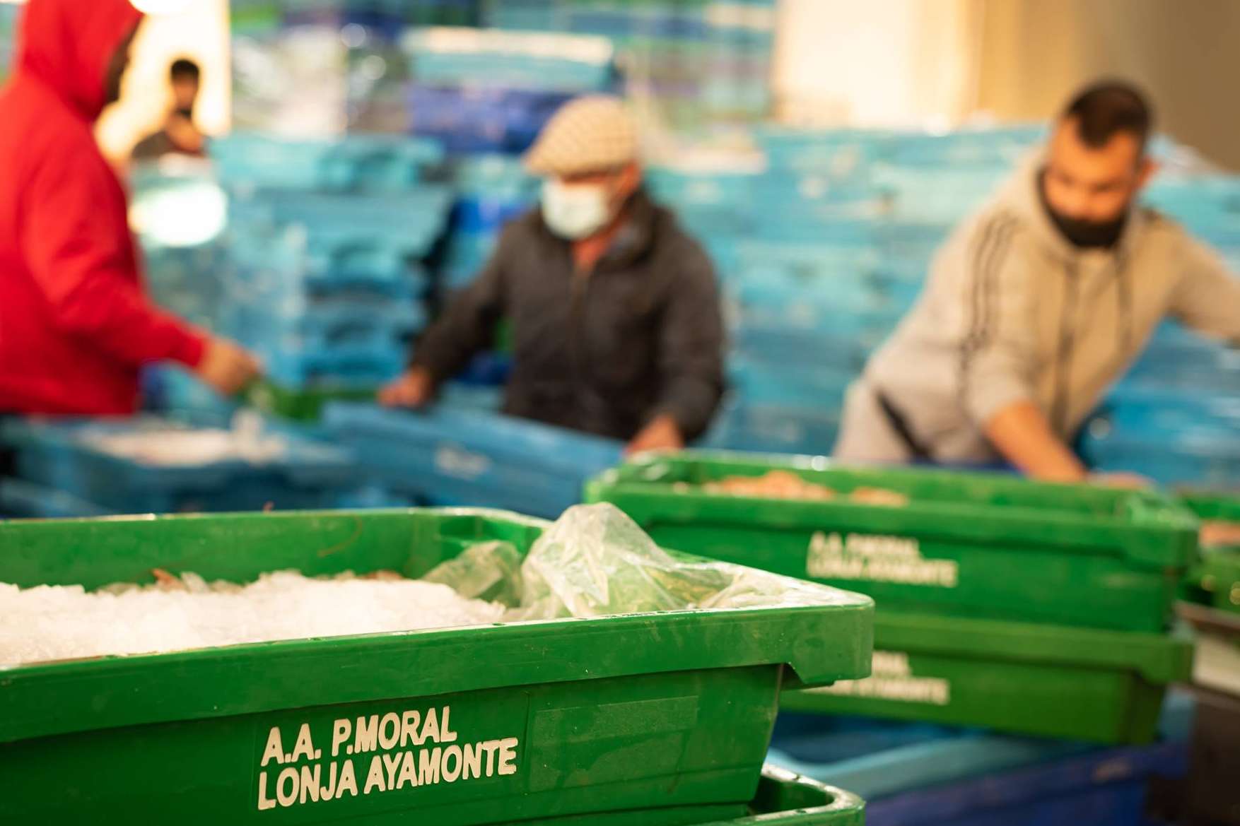 Con la venta de pescados y mariscos online, Lonja de Ayamonte aporta frescura y calidad