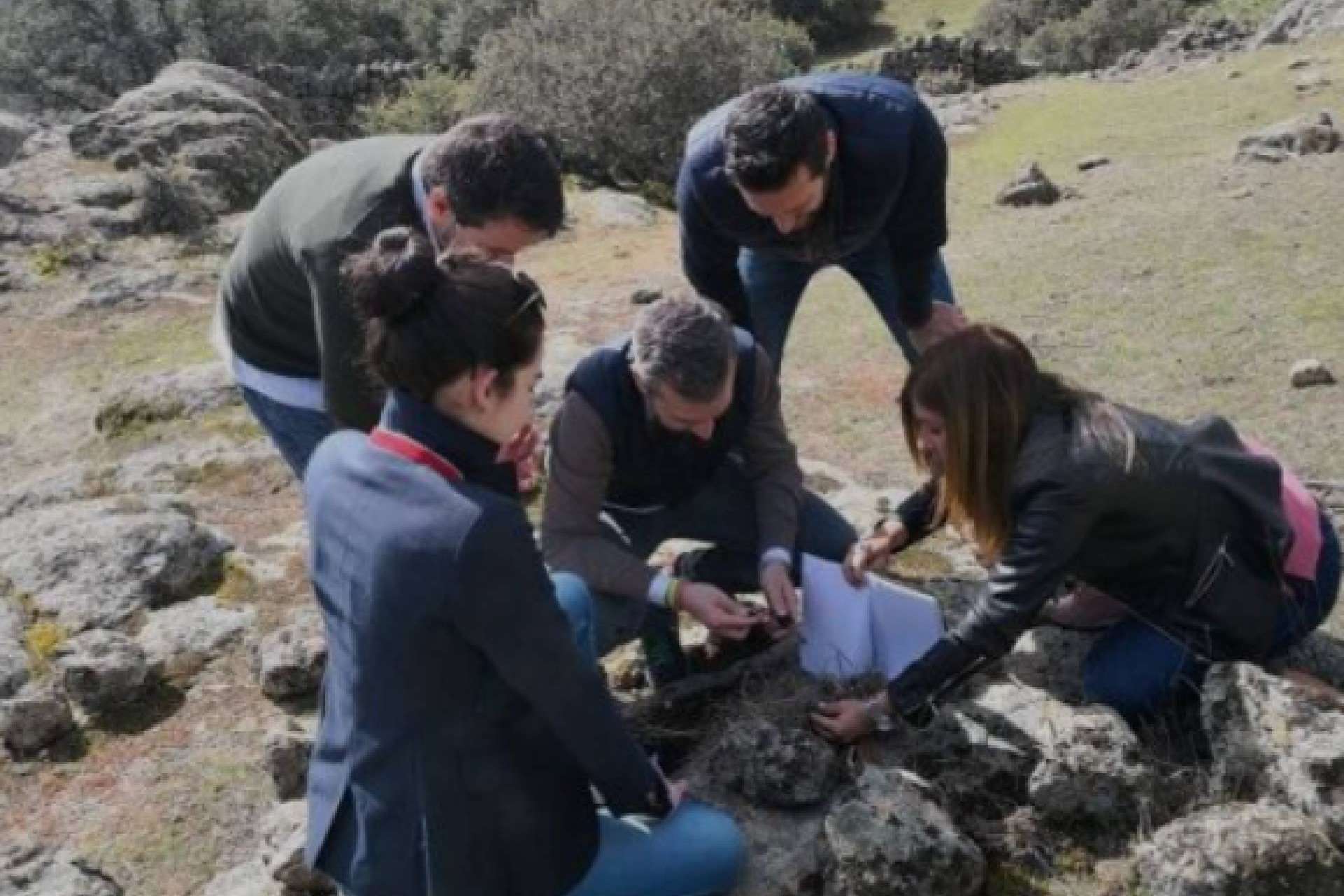 Los últimos descubrimientos de la neurociencia; el efecto de las actividades formativas para empresas en la naturaleza