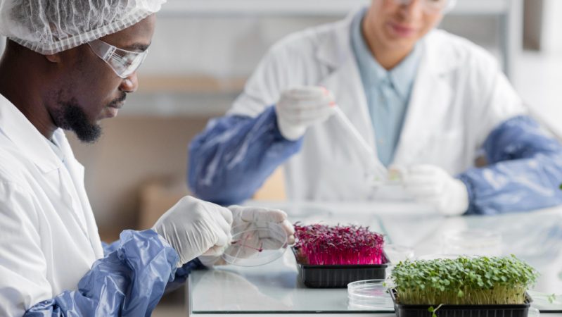 investigadores laboratorio biotecnologia plantas Merca2.es