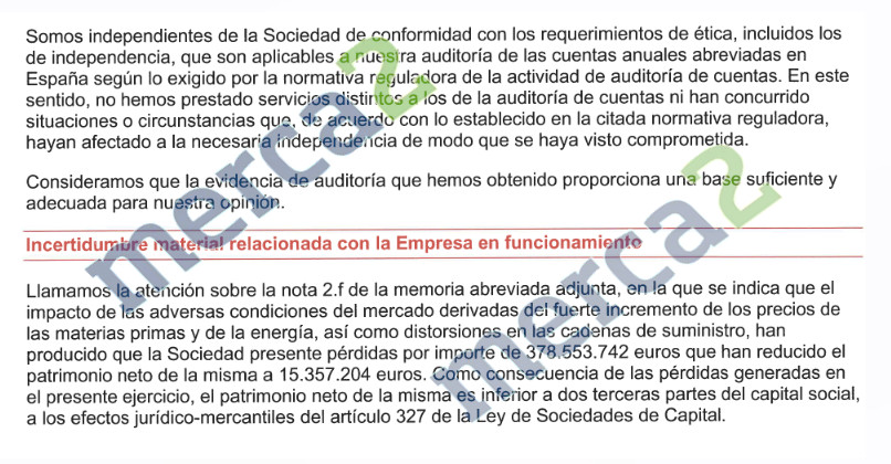 Auditoría de PricewaterhouseCoopers sobre la matriz de Telepizza