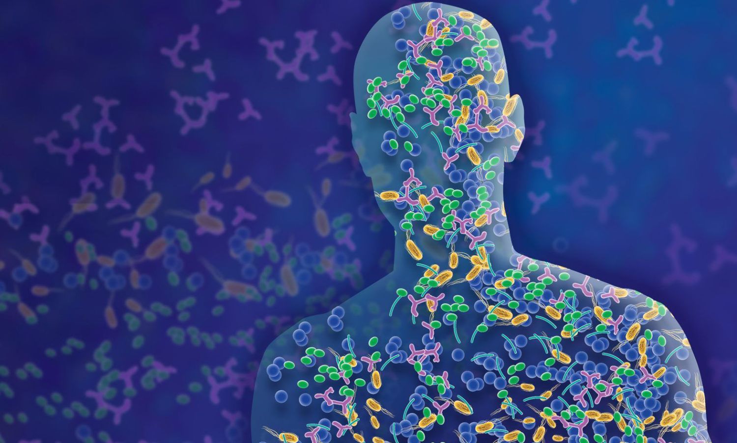 ¿Qué es la microbiota y qué hace en nuestro cuerpo?