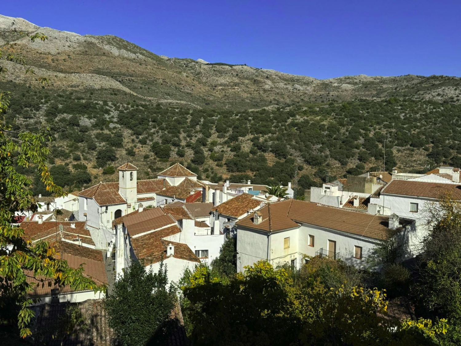Parauta, el bello pueblo malagueño que “recuerda su pasado andalusí en el corazón de un bosque encantado” y que The Sun recomienda a sus lectores