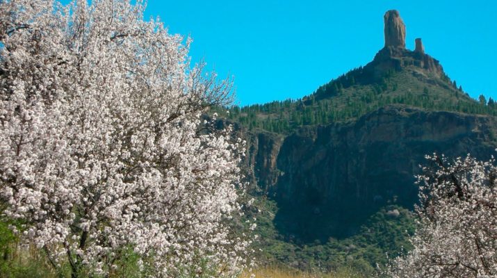 almendros