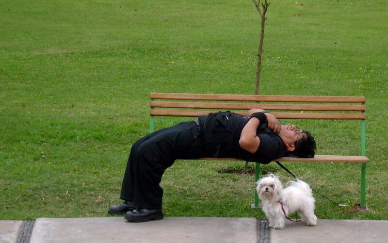 La Competencia del Reino Unido inicia una investigación en profundidad del sector veterinario