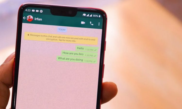 ¡Descubre la última novedad de WhatsApp: la edición de mensajes!