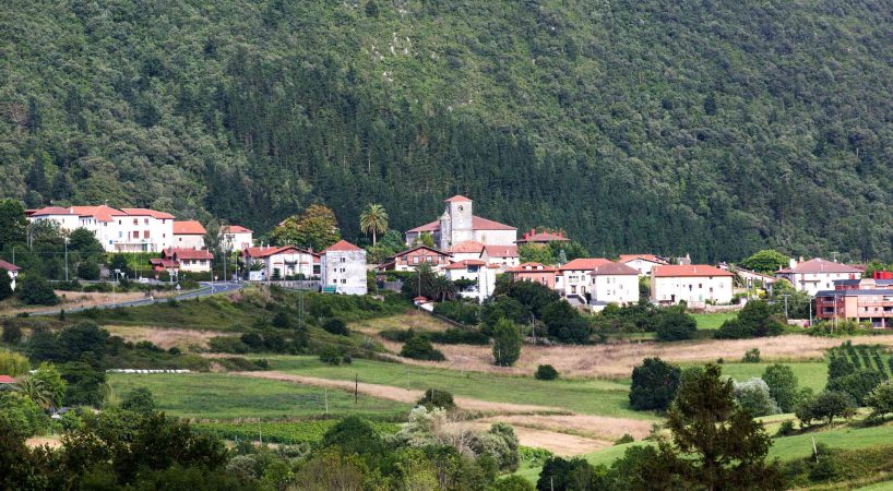 Descubriendo la felicidad en Gautéguiz de Arteaga: naturaleza, aves y bienestar
