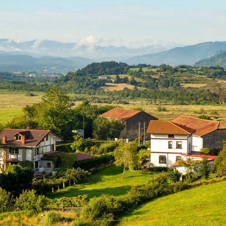 La importancia de la naturaleza y las aves en nuestro bienestar