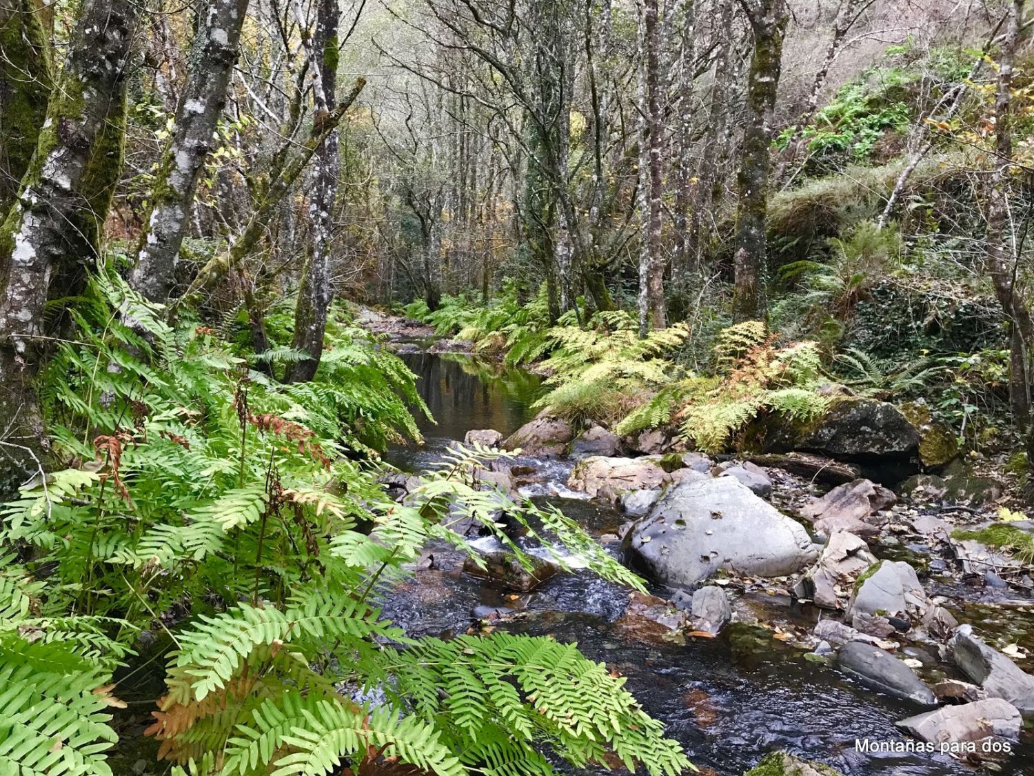 ASTURIAS: UN CAMINO HACIA LO DESCONOCIDO