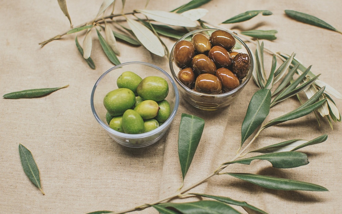 ¿Qué tienen de especial las aceitunas Chicón Lebrón?