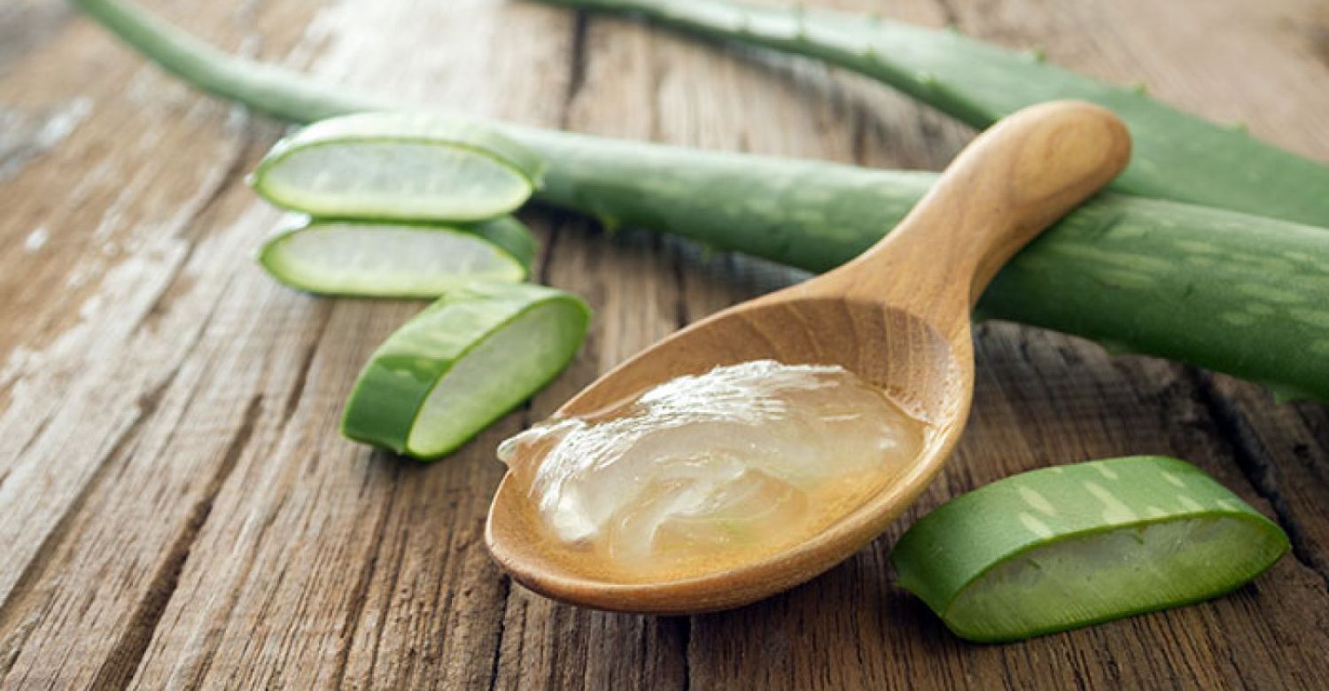 Elimina las Estrías: 5 Tratamientos caseros para una Piel Perfecta 2 Merca2.es ALOE VERA