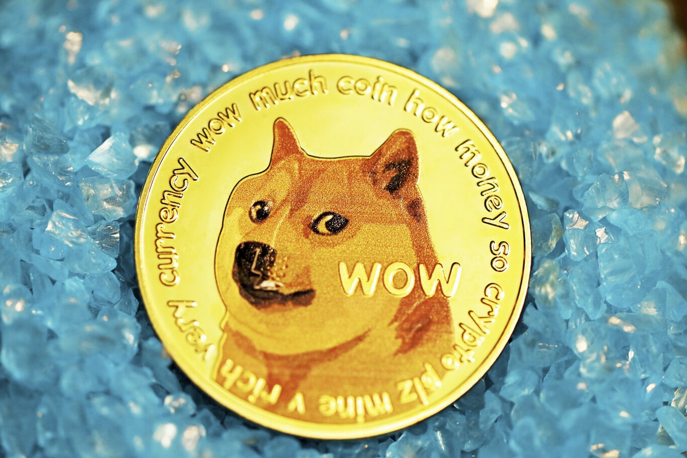 ¿Dogecoin a 1 dólar? Descubre las locuras que podría desatar este ciclo alcista