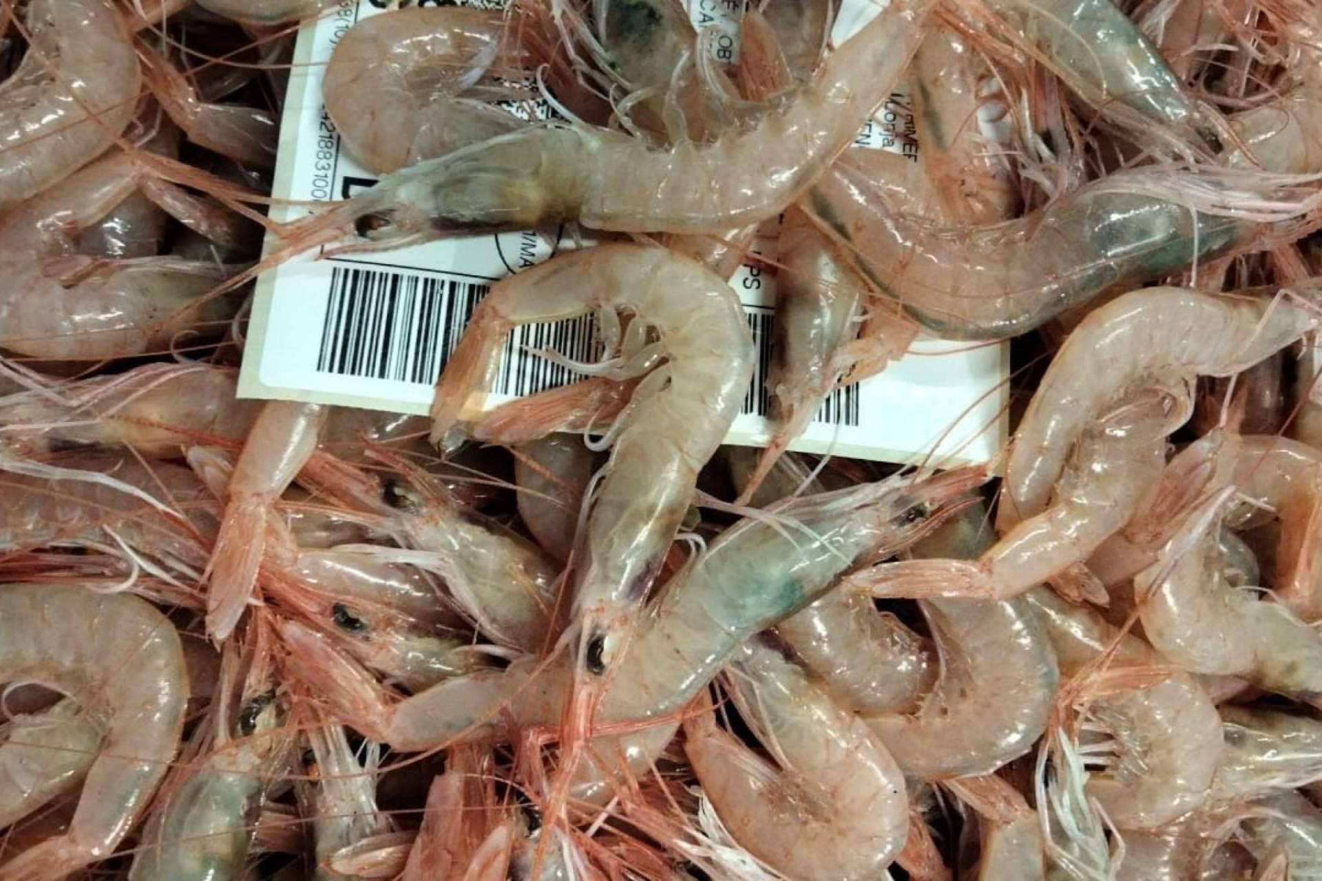 Pescados y mariscos de calidad de la mano de Pescadería Younes Ceuta