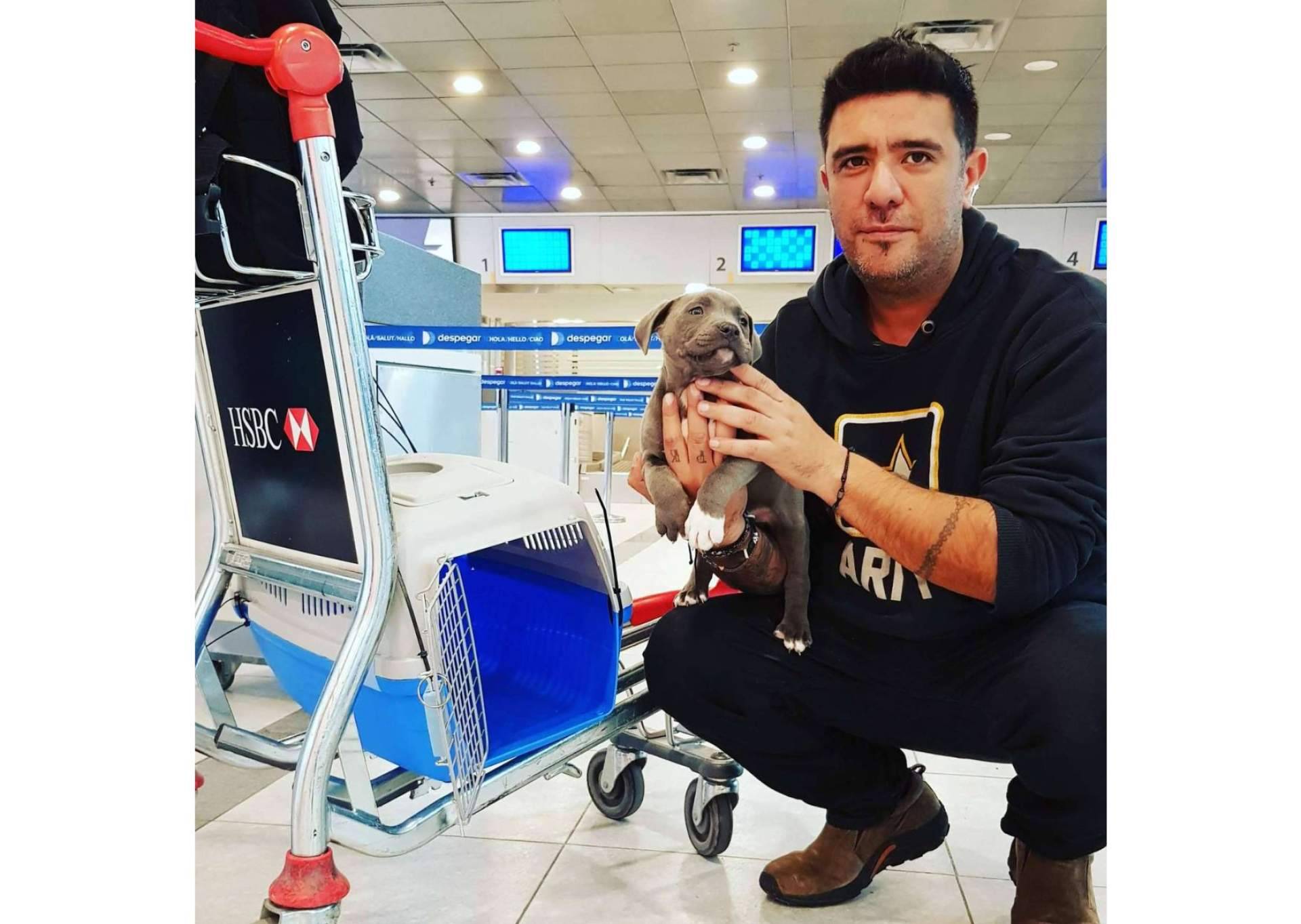 Pet World Travel, una excelente solución en el transporte de mascotas a nivel nacional e internacional