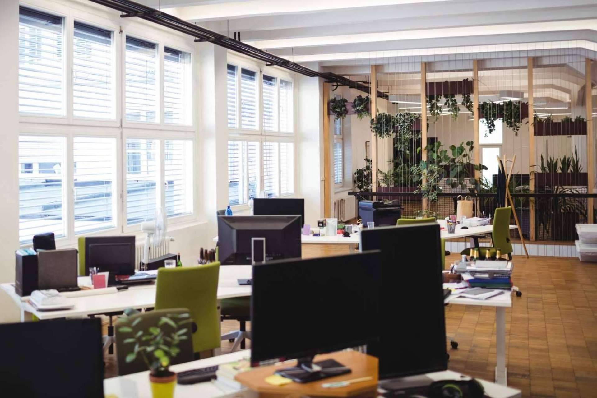 Asesolab, trabajo constante y personalizado en un sector muy competitivo