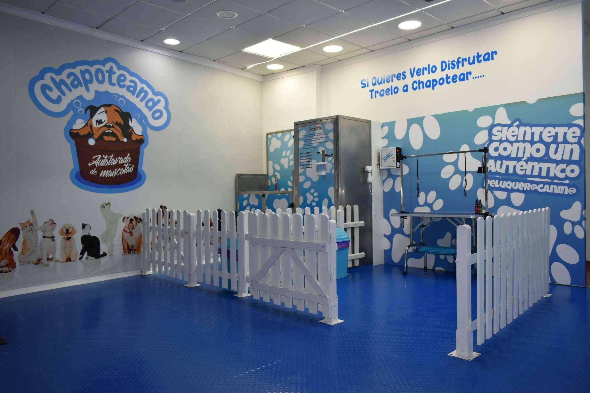 Alentar el bienestar y cuidado mascotas en España, el objetivo de los servicios de Chapoteando